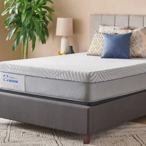 *Clearance* Sealy Posturepedic - Elsanta Hybrid Mattress 13″ Soft Plush