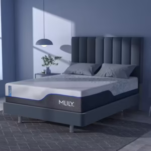 Loft-style room view of the MLILY mattress with blue piping, positioned near a city-scape window.