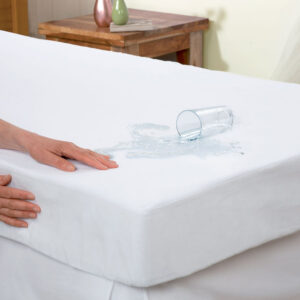 Basics Mattress Protector Cover - Waterproof Stainproof Hypoallergenic - Twin